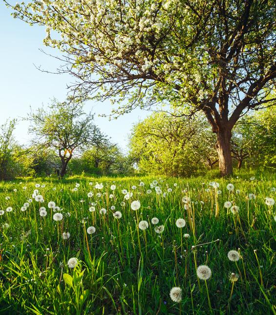 How can letting the outside in enhance your home experience