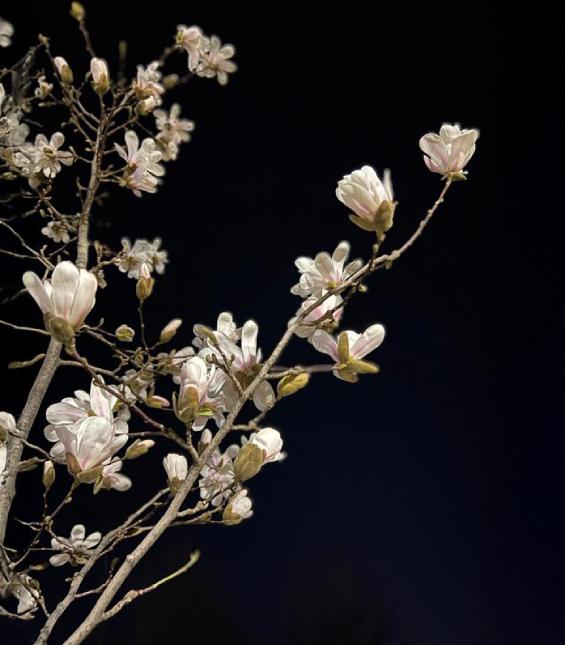 The Colour Edit by Roselind Wilson: Spring Edition